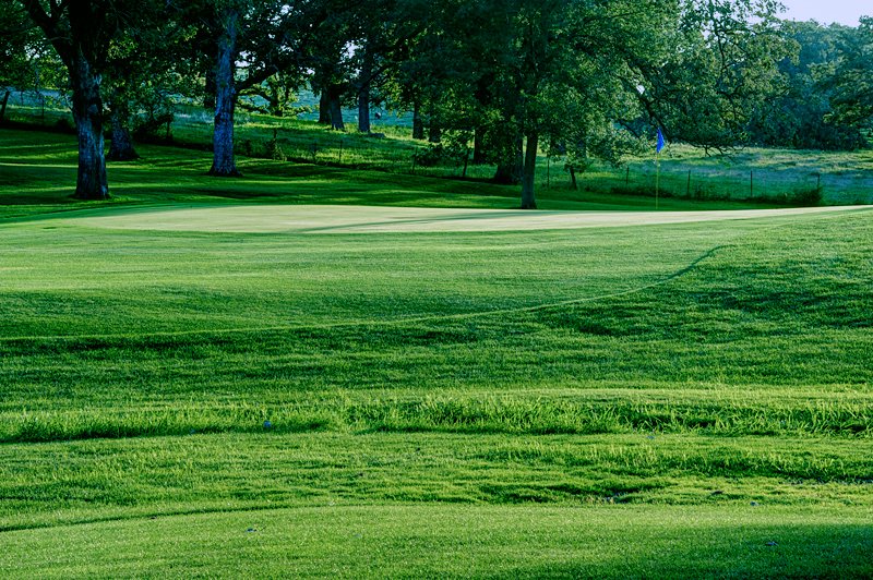 13-green