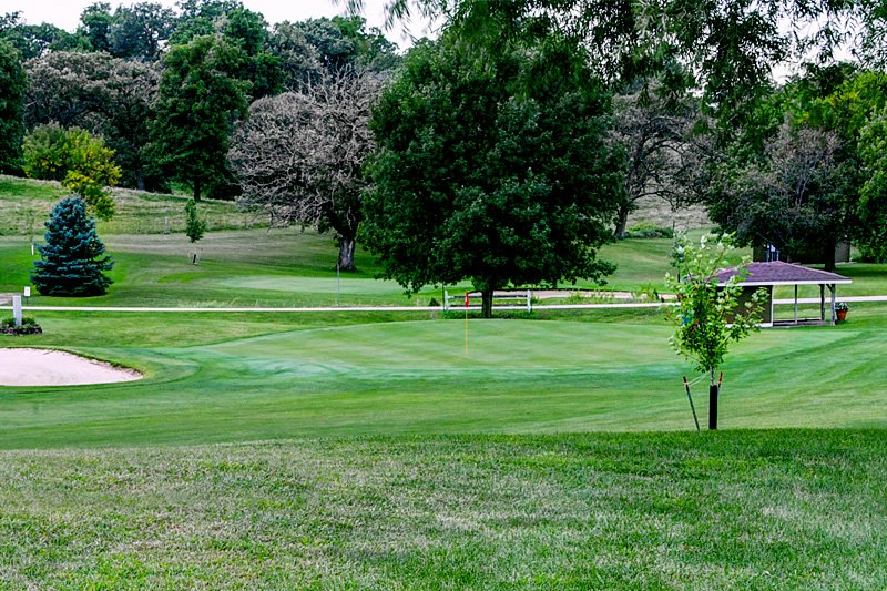 17-green