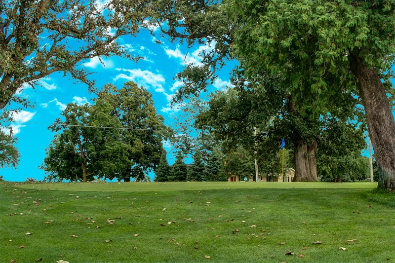 4-green