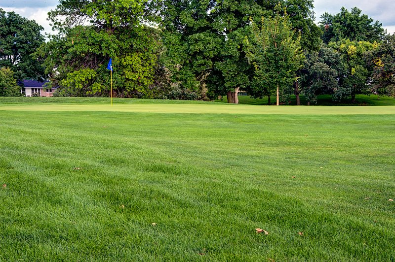 7-green